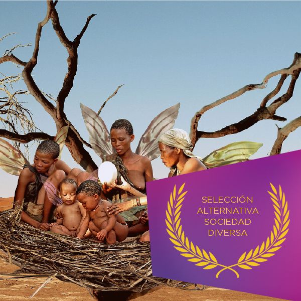 Categoría sociedad diversa