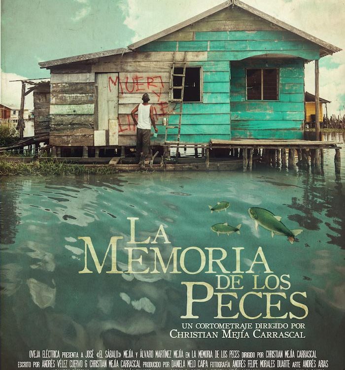 La memoria de los peces