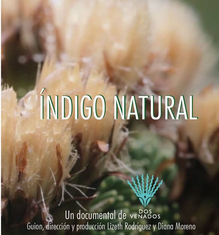 Poster Indigo Natural
