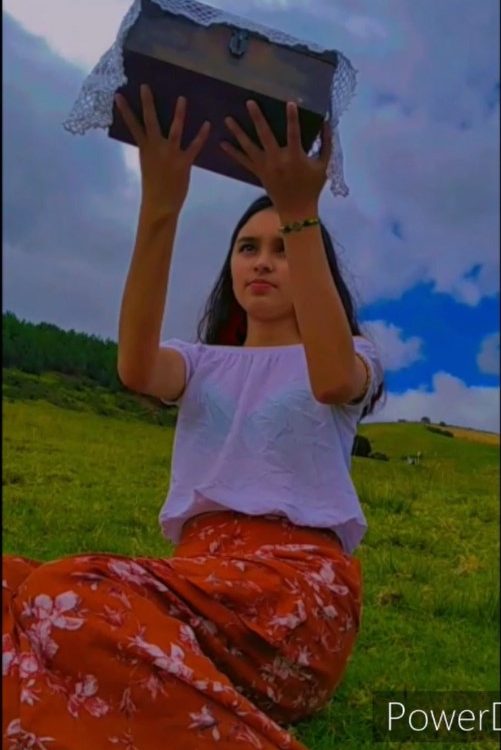 Poster recuerdos en el ocaso