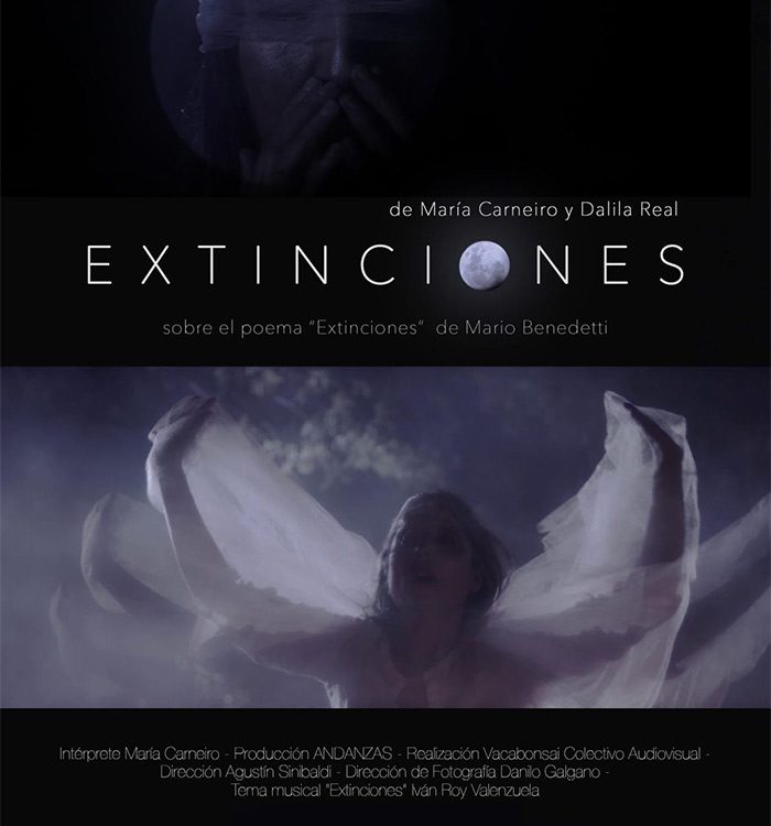 Poster Extinciones