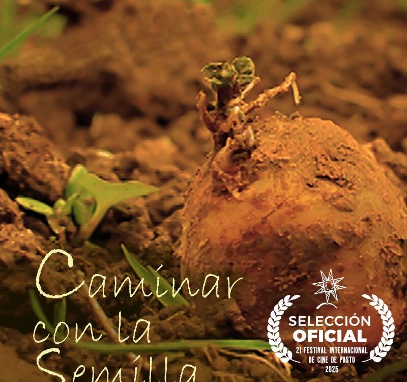 poster Caminar Con La Semilla
