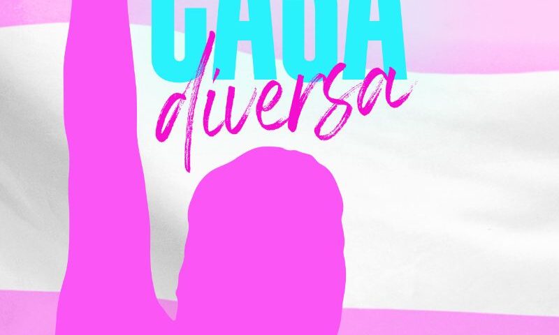 poster Casa Diversa