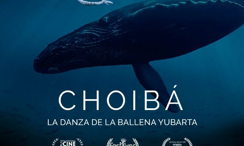 poster Choiba, La Danza De La Ballena Yubarta