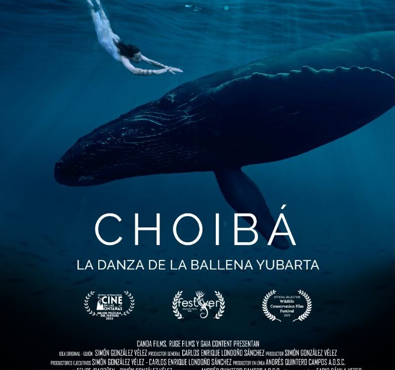 poster Choiba, La Danza De La Ballena Yubarta