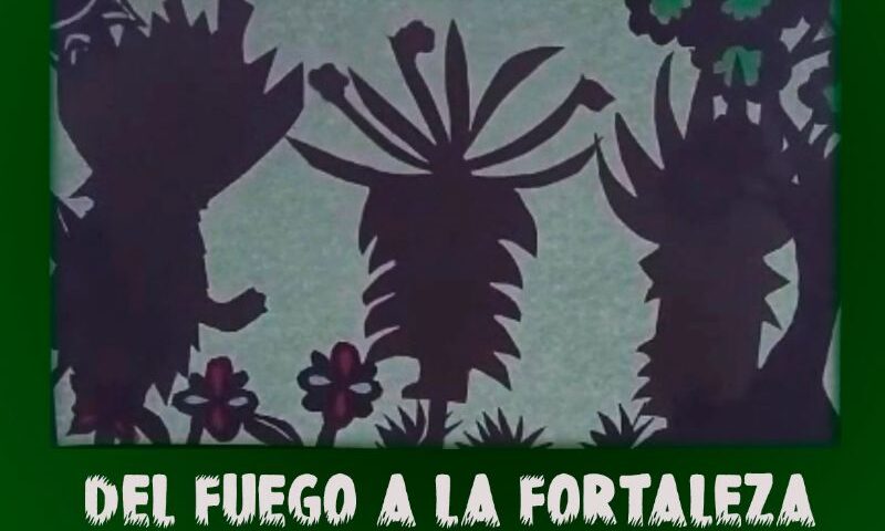 poster Del Fuego A La Fortaleza