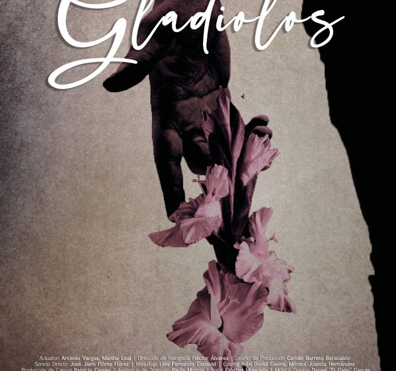 poster Gladiolos