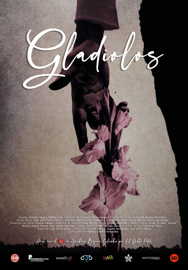 poster Gladiolos