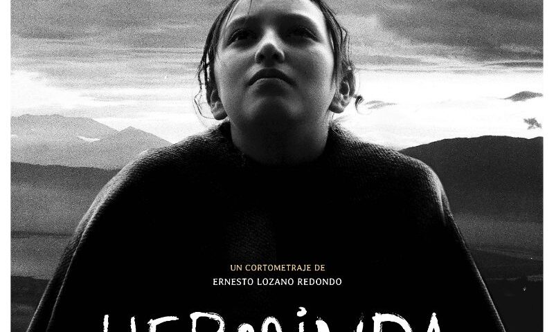 poster Herminda