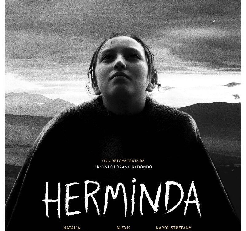 poster Herminda