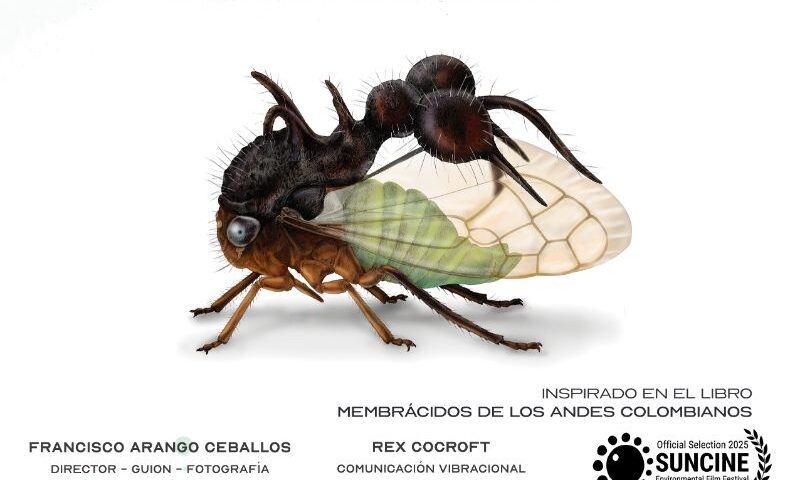 poster Maravillas De La Evolución