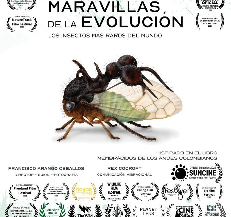 poster Maravillas De La Evolución