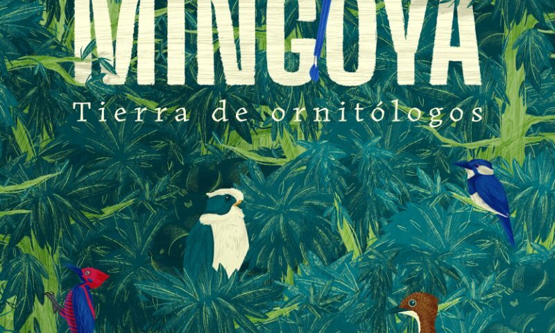 poster Mingoya: Tierra De Ornitólogos