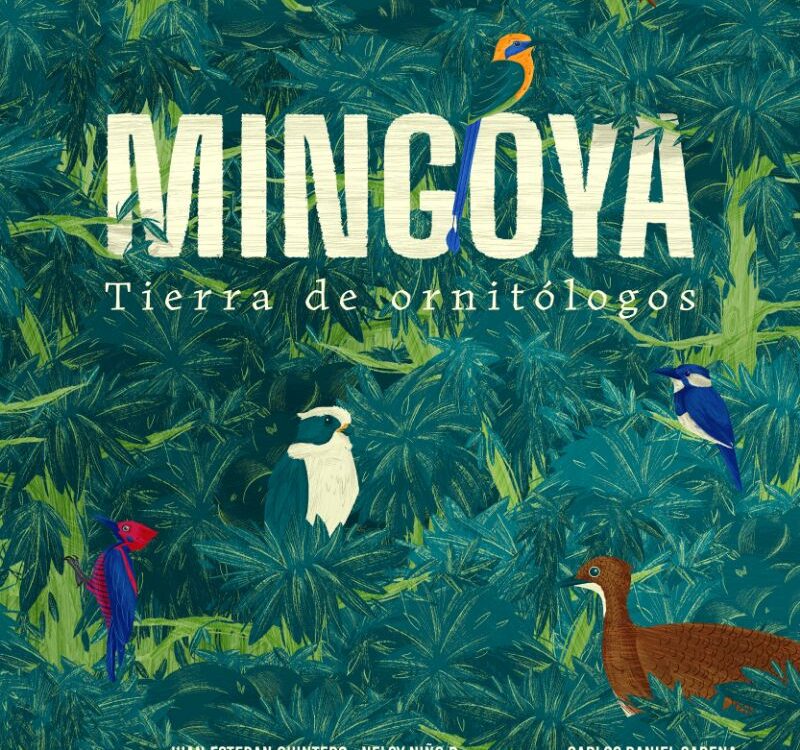 poster Mingoya: Tierra De Ornitólogos