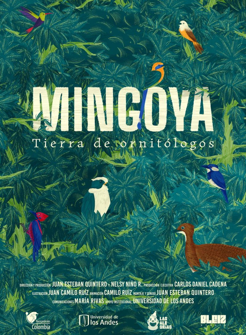 poster Mingoya: Tierra De Ornitólogos