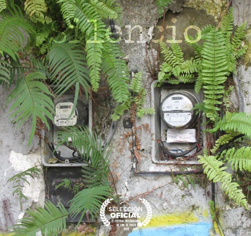 poster Silencio